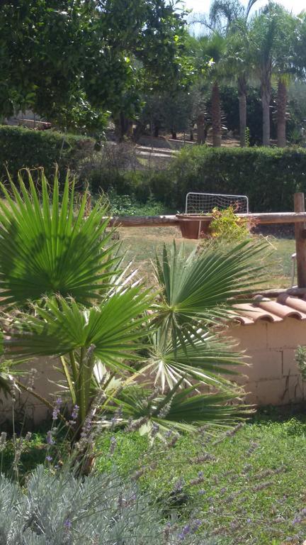 La Casa Dei Nonni Campagna Exterior foto